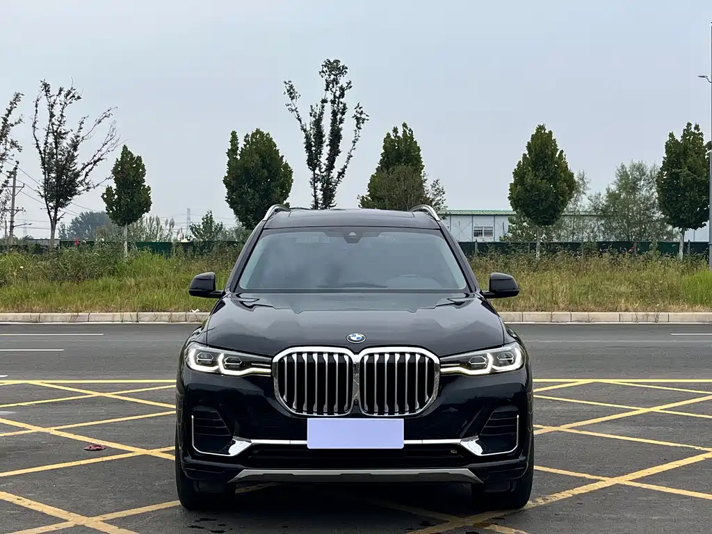 BMW X7 — миниатюра 2