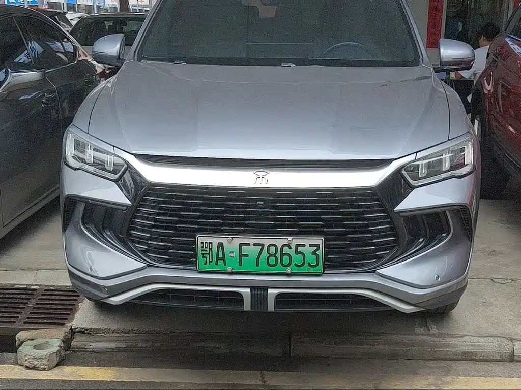 BYD Pro New Energy — миниатюра 2