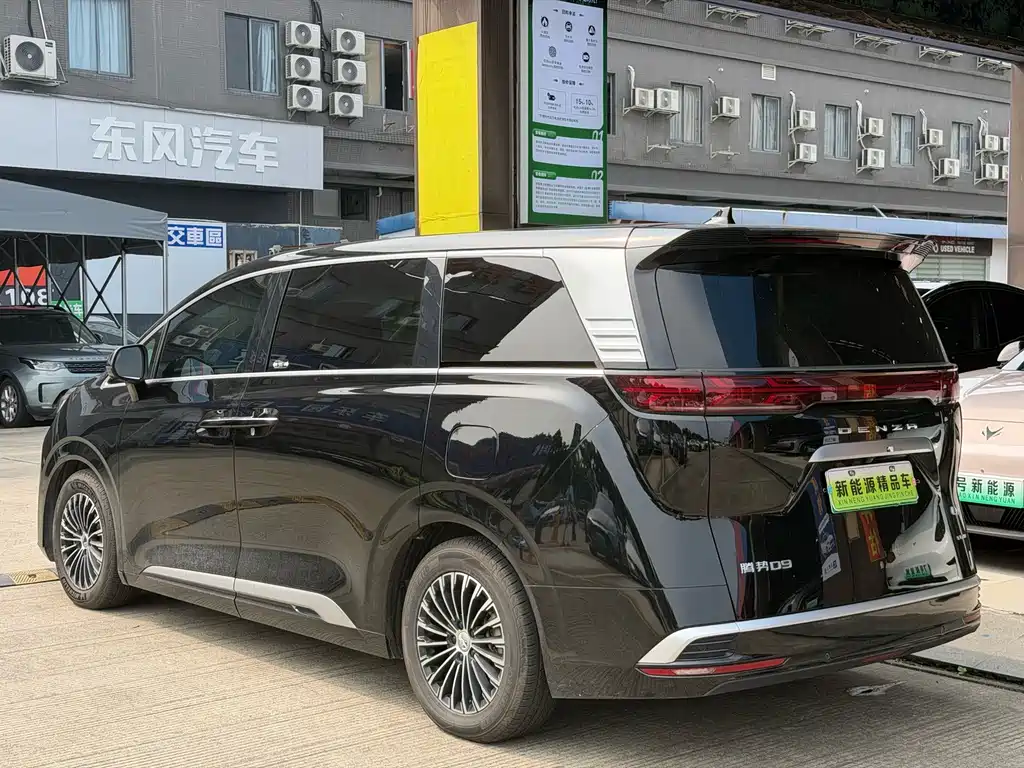 Denza Denza D9 — миниатюра 17