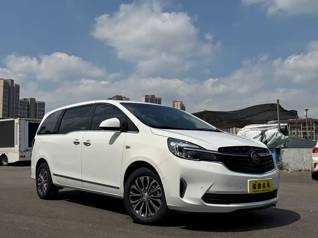 Buick GL8 — миниатюра 5