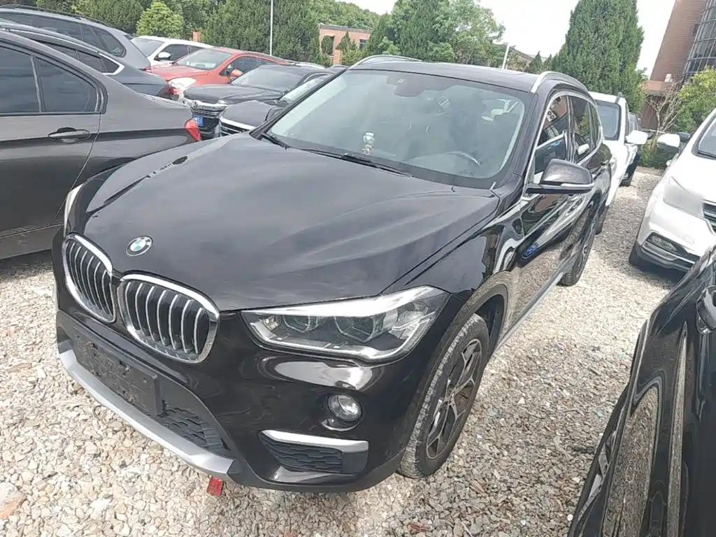 BMW X1 — миниатюра 2