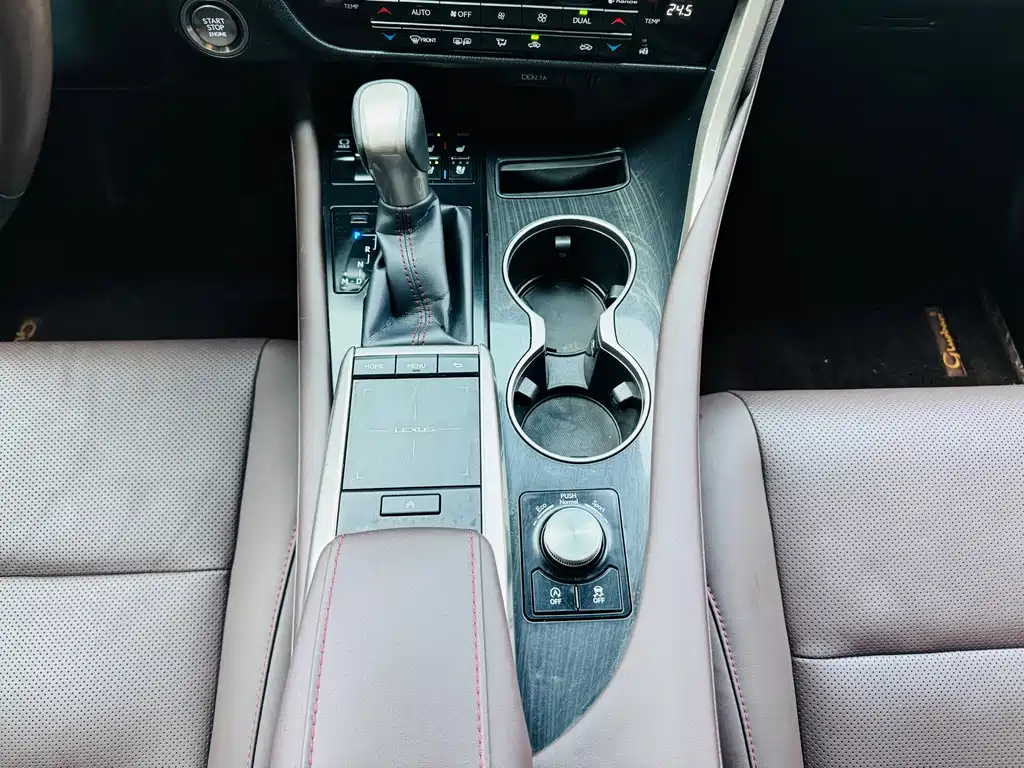 Lexus RX 2020 300 Elegant