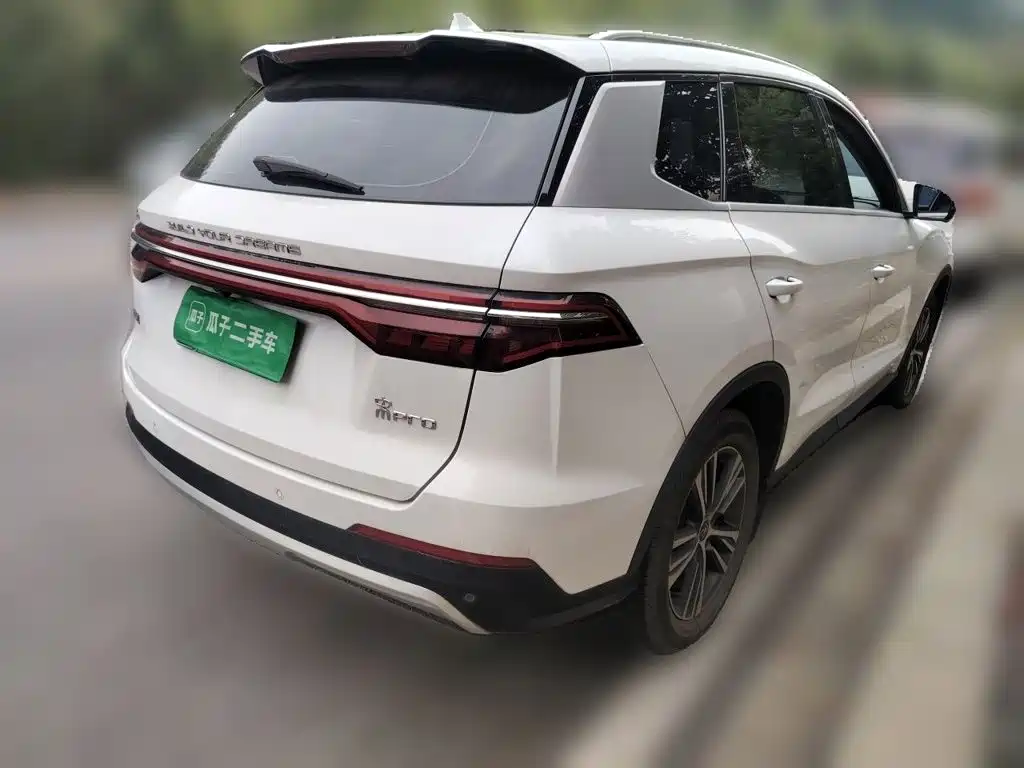 BYD Pro — миниатюра 4