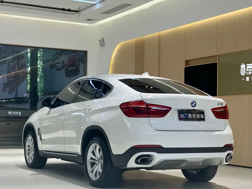 BMW X6 xDrive35i Leading Type, фото 5