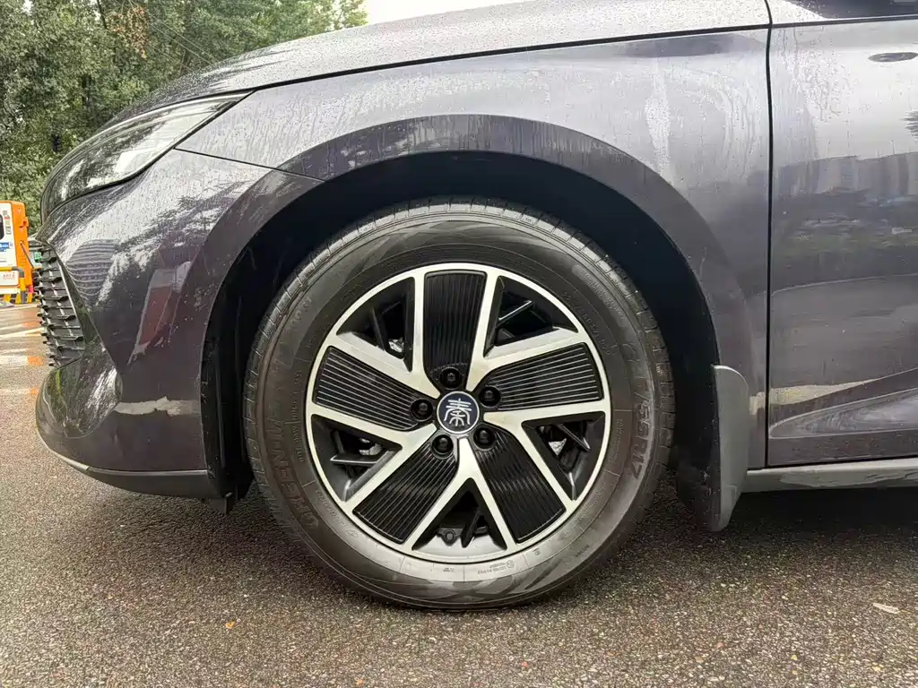 BYD Qin L L 2024 DM-i 120KM Lead