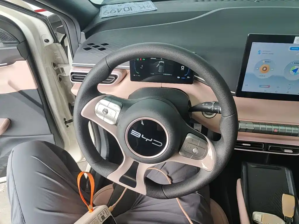 BYD Seagull — миниатюра 11