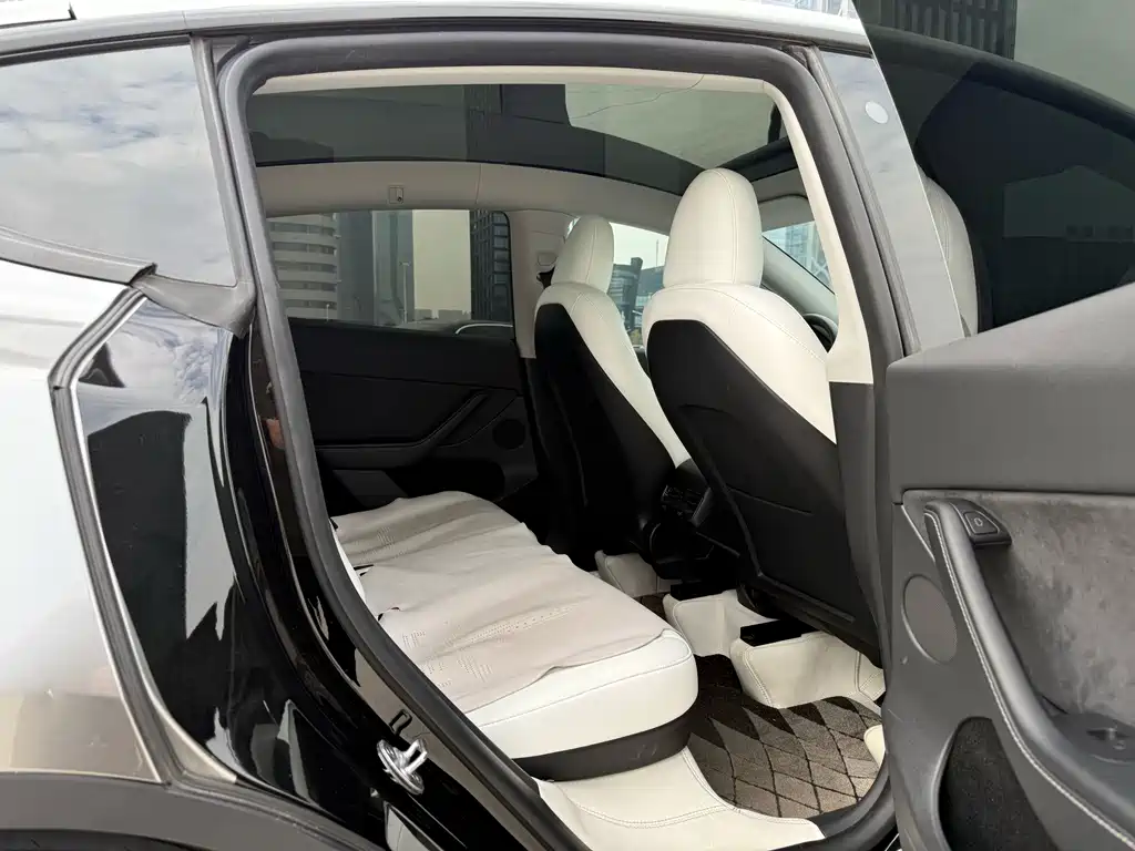 Tesla Model Y — миниатюра 16