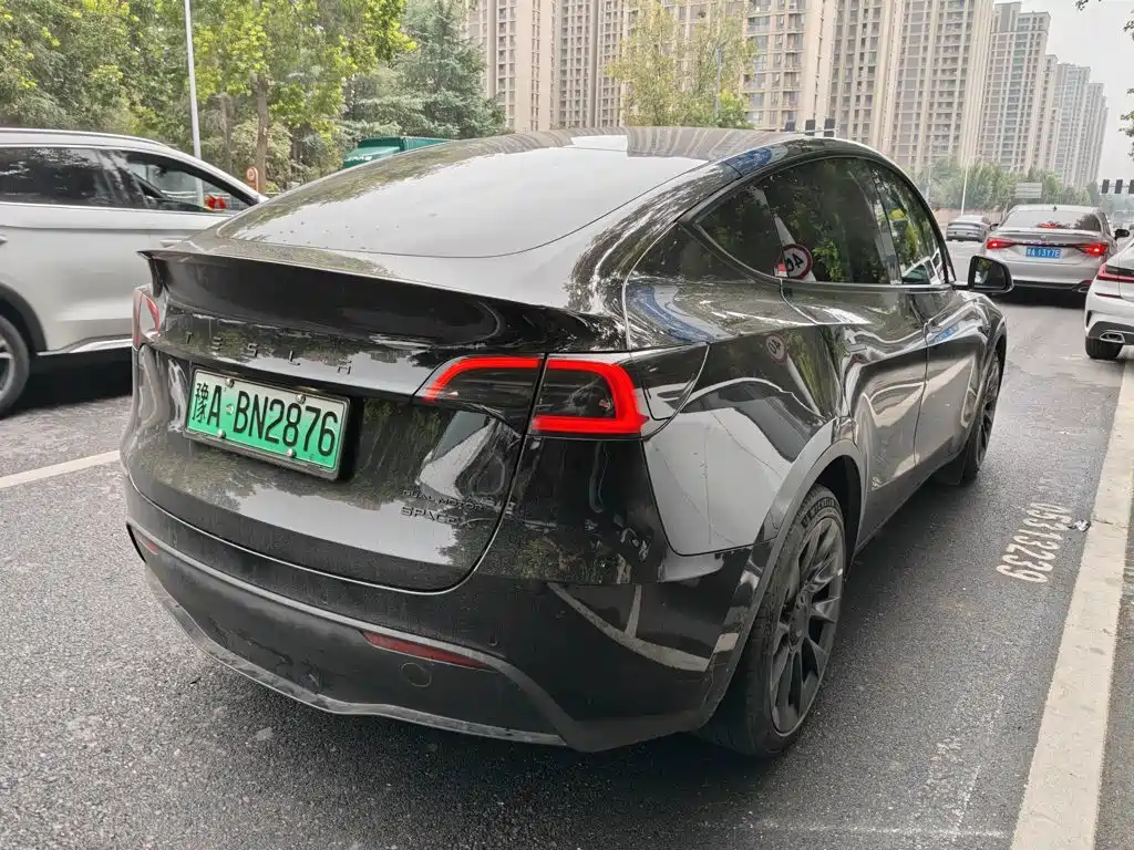Tesla Model Y — миниатюра 4