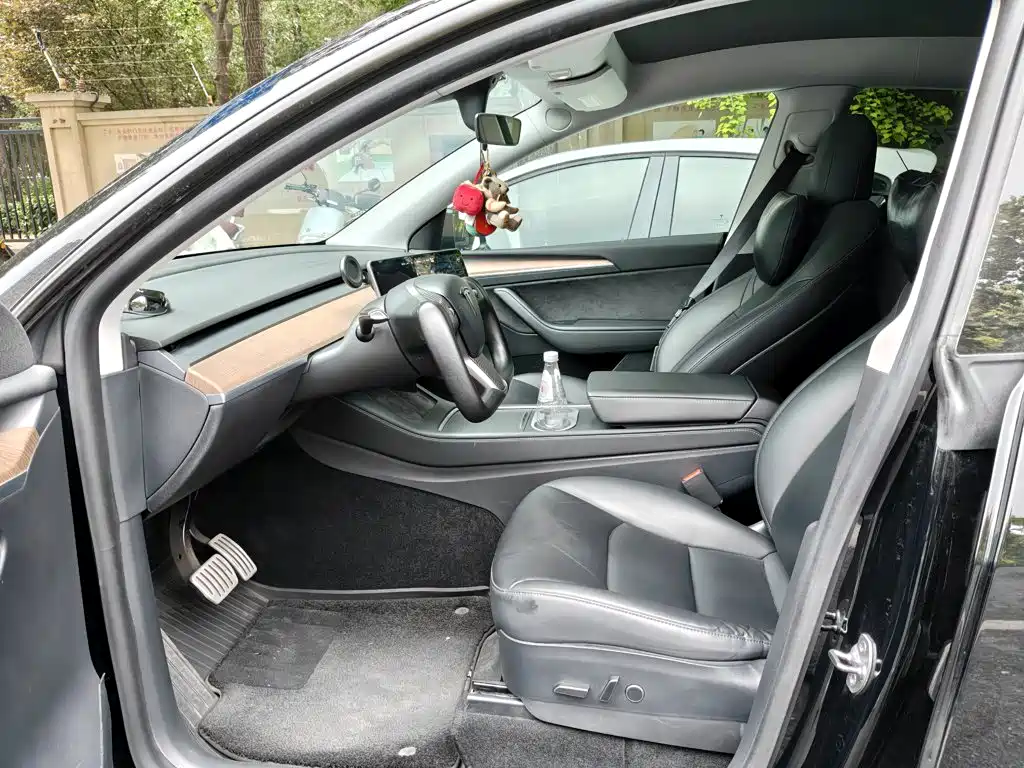Tesla Model Y — миниатюра 2