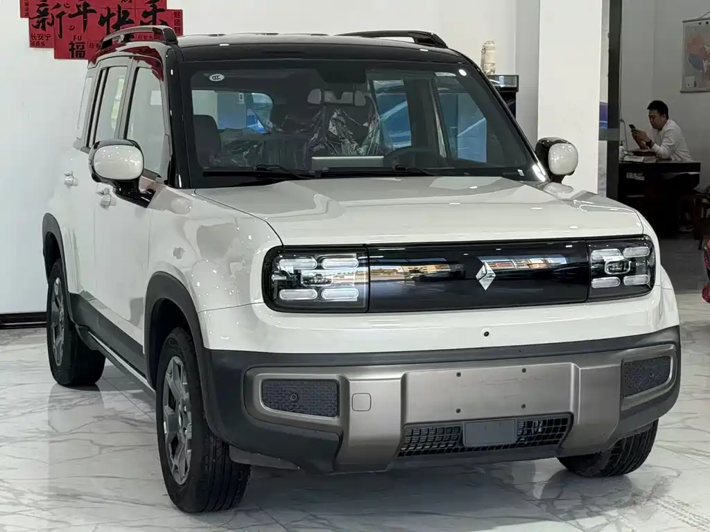 BAOJUN YUE ALSO PLUS