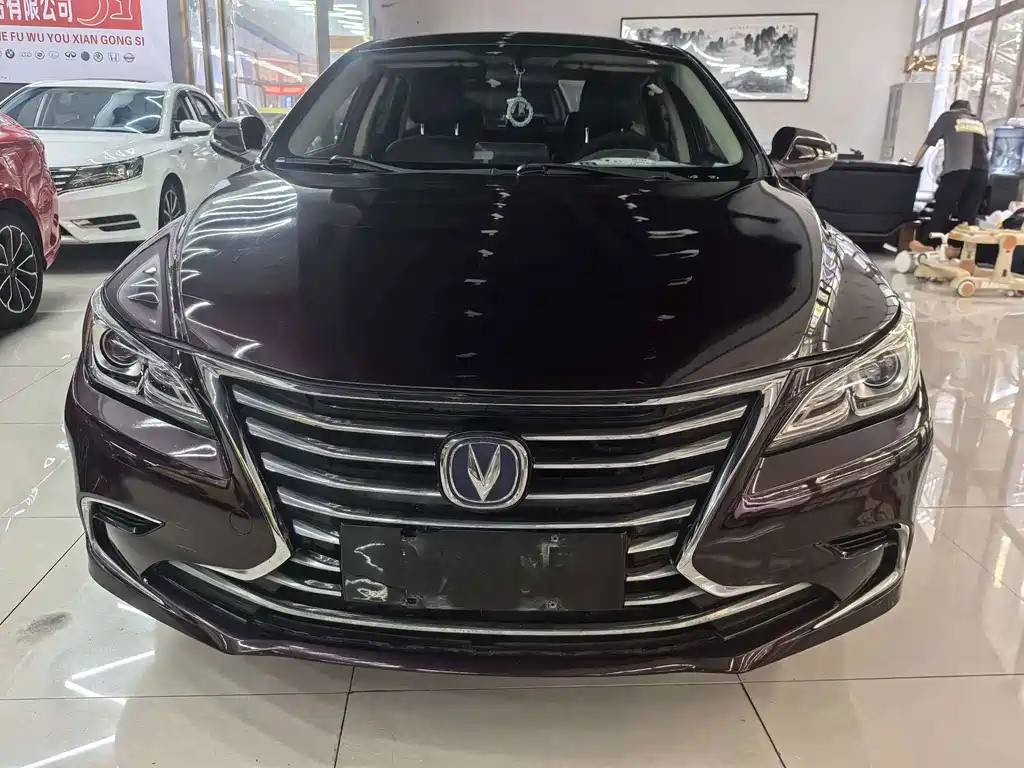 Changan Ruicheng CC — миниатюра 2