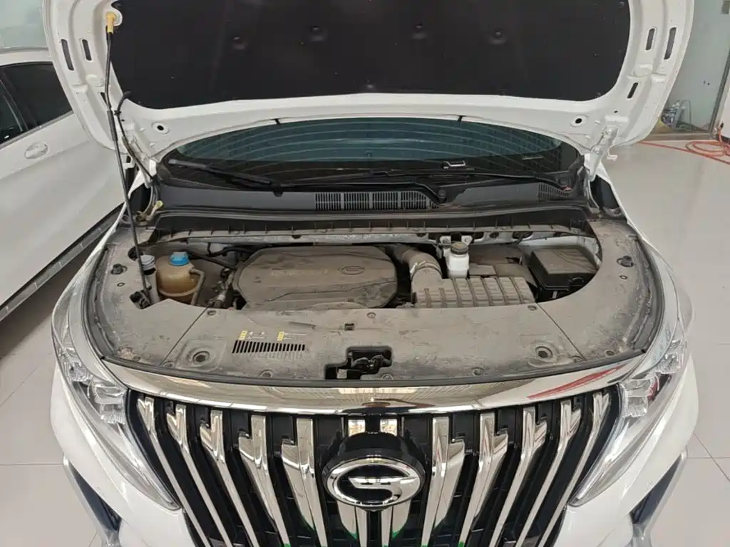 GAC Motor Trumpchi M8 — миниатюра 20
