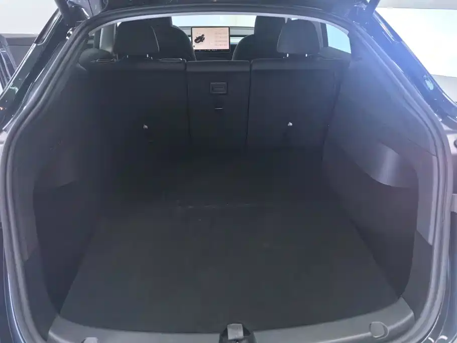 Tesla Model Y — миниатюра 4