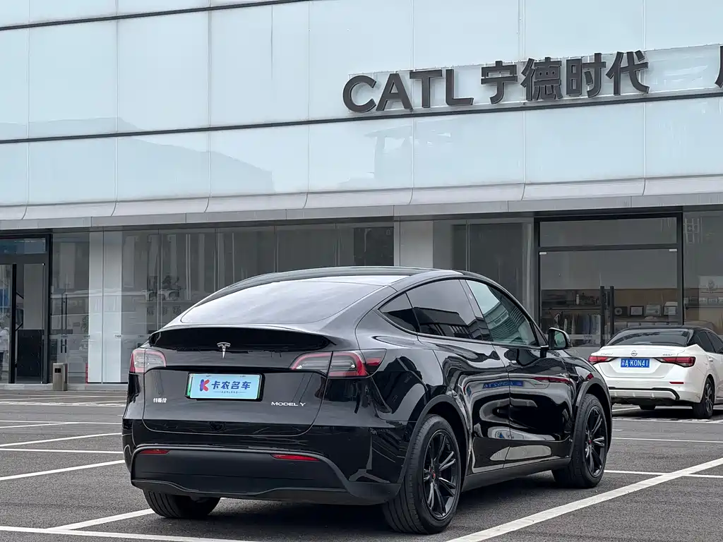 Tesla Model Y — миниатюра 4