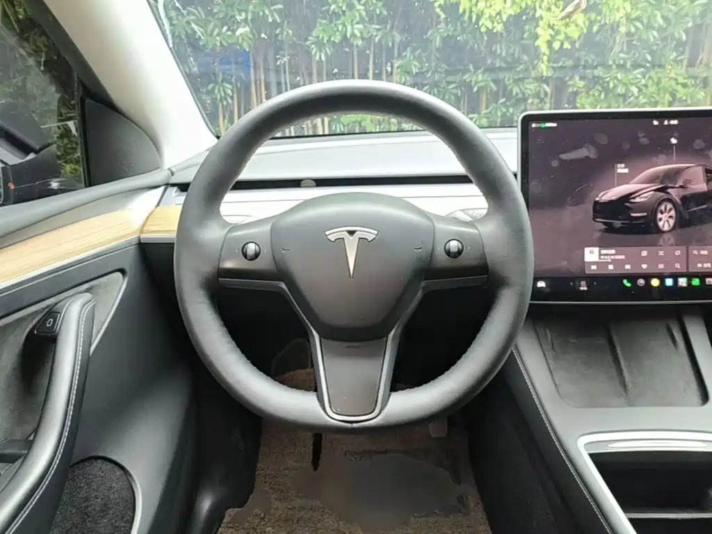 Tesla Model Y — миниатюра 11
