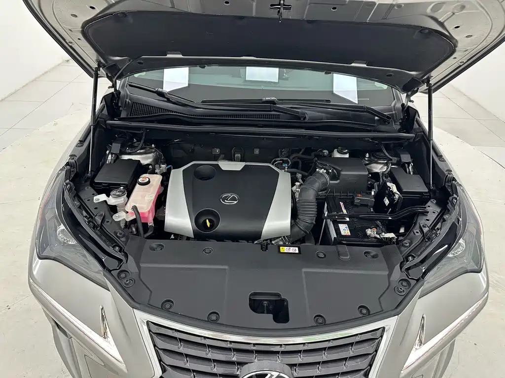 Lexus NX — миниатюра 16