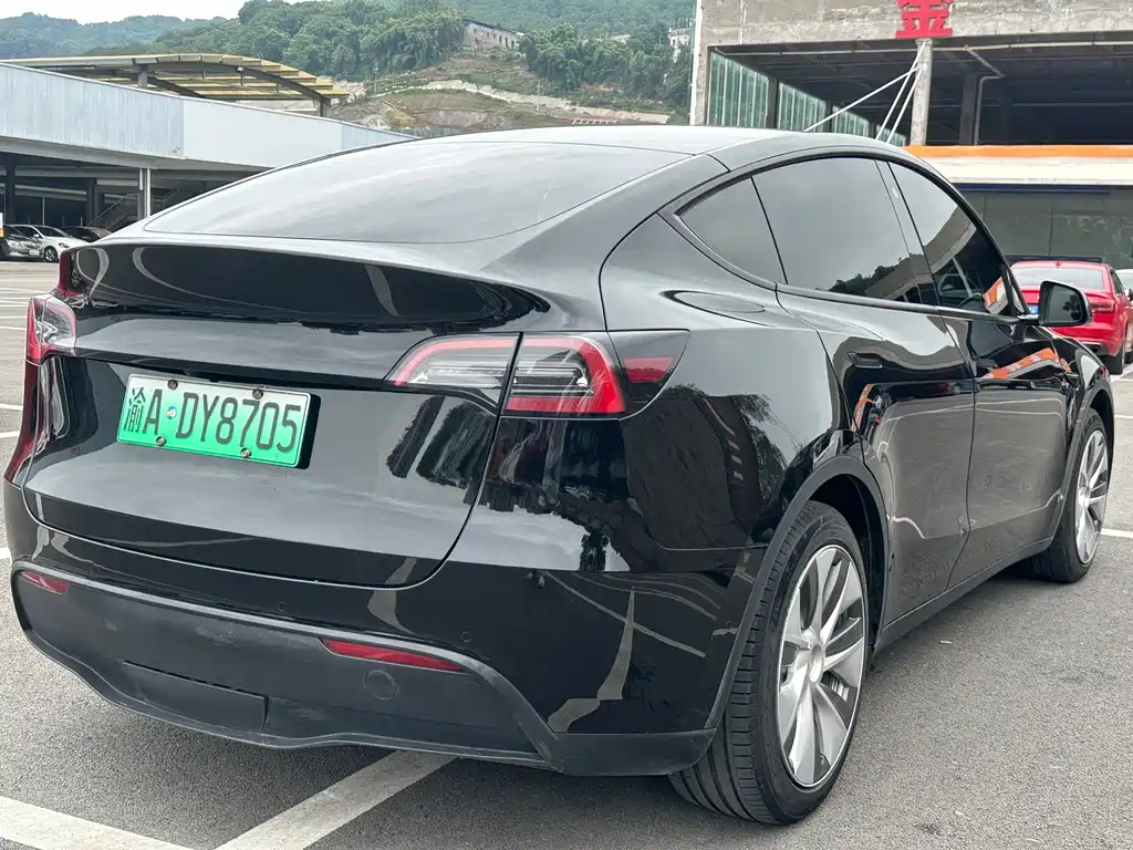 Tesla Model Y — миниатюра 12