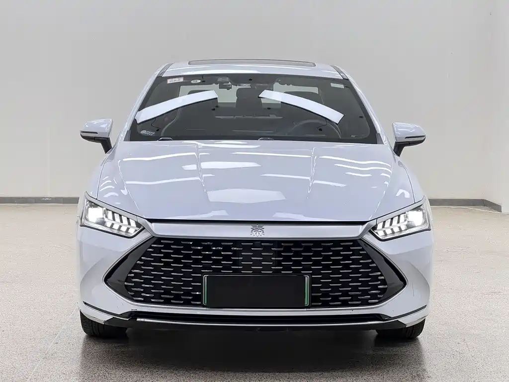 BYD Qin Plus PLUS 2021 DM-i 55KM Flagship