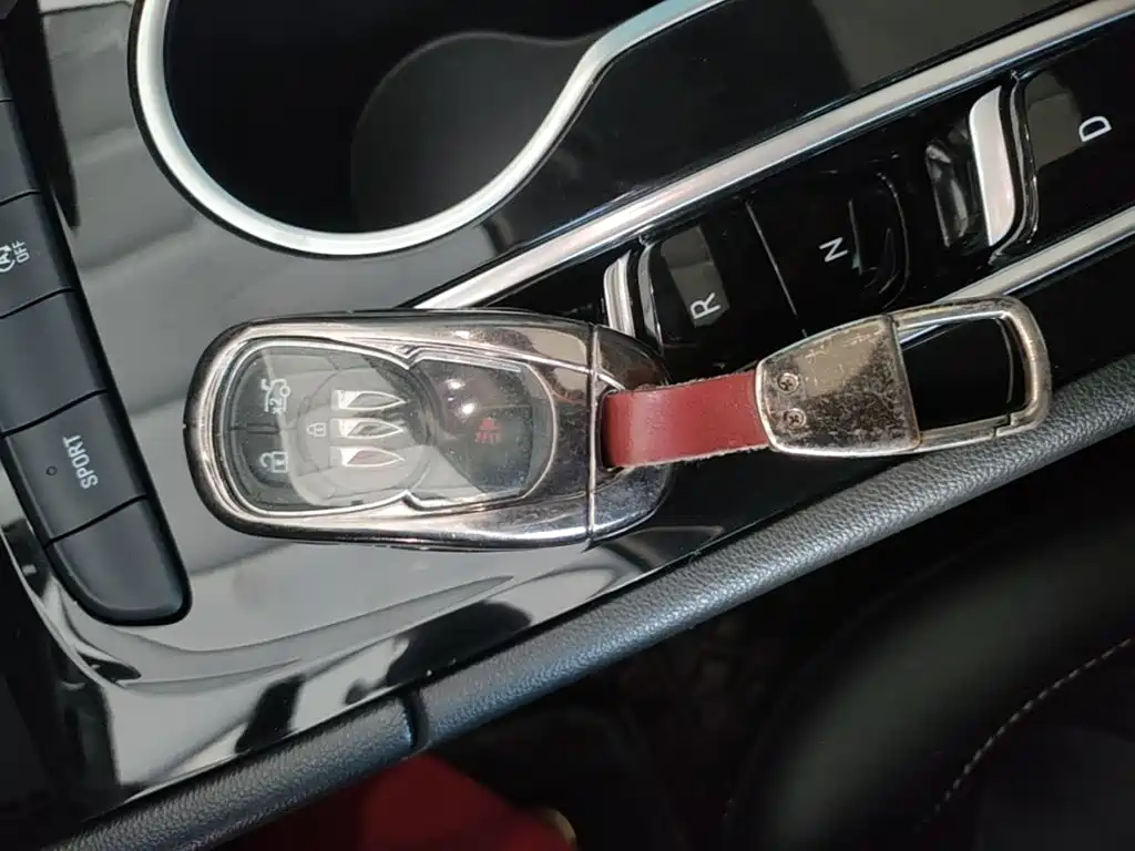 Buick Regal — миниатюра 9