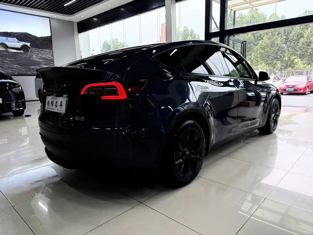 Tesla Model Y — миниатюра 6