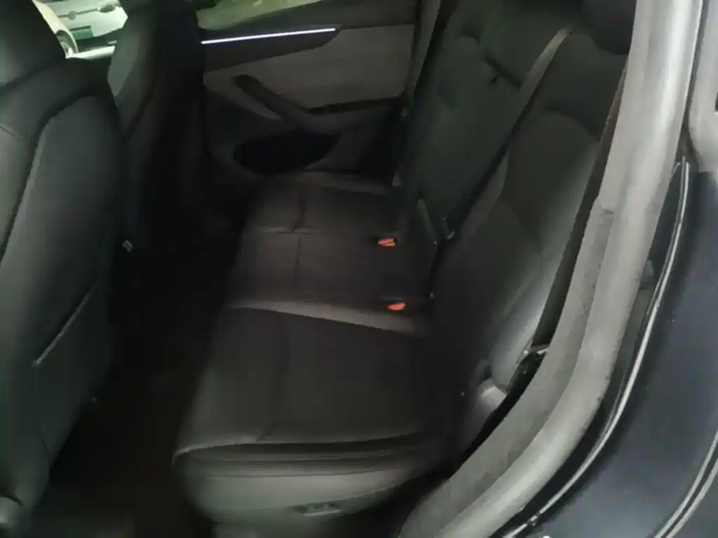Tesla Model Y — миниатюра 17