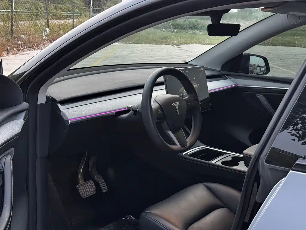 Tesla Model Y — миниатюра 13
