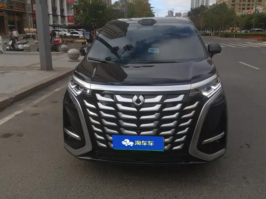 Denza Denza D9 — миниатюра 2