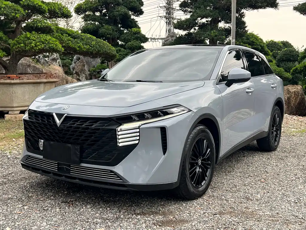 Venucia V 2021