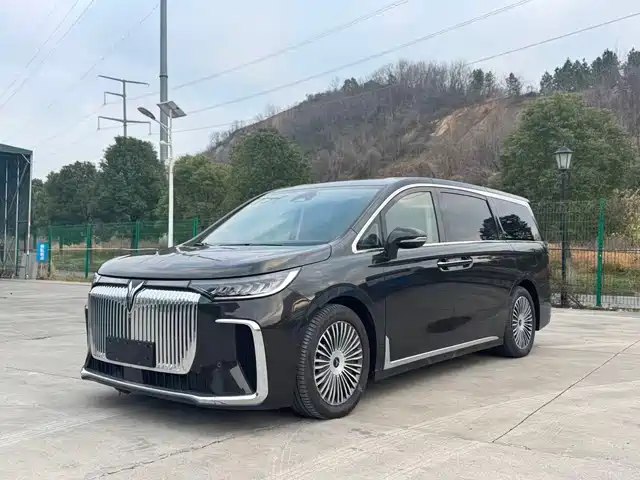 VOYAH LANTU DREAMER 2024