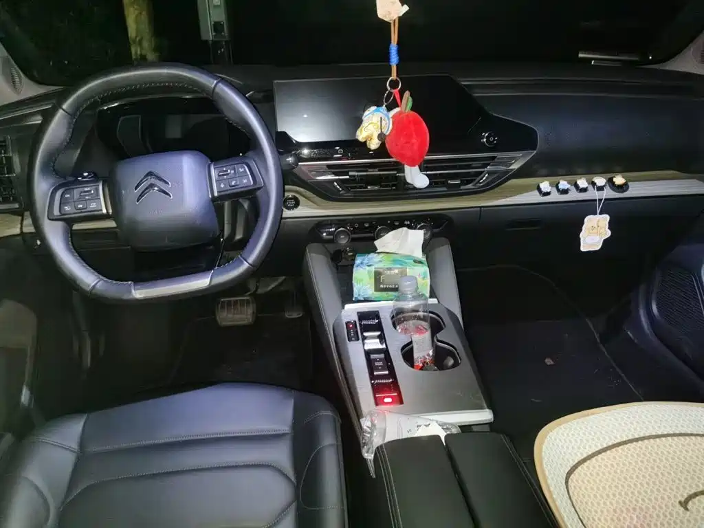 Citroen C5 X — миниатюра 5