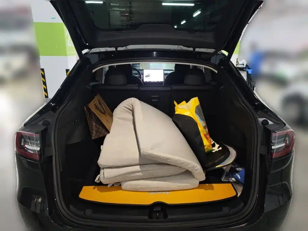 Tesla Model Y — миниатюра 10
