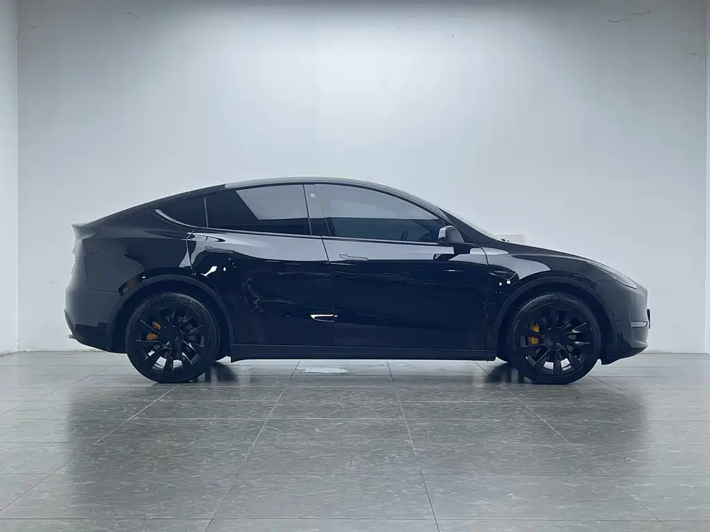 Tesla Model Y — миниатюра 7