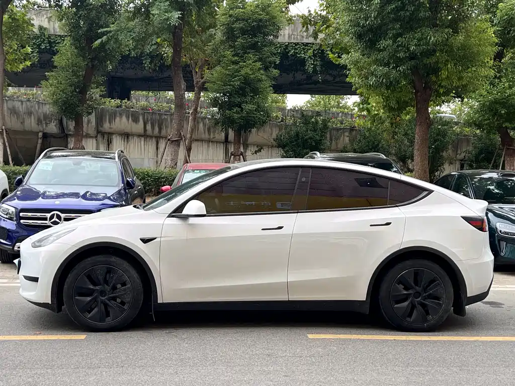 Tesla Model Y — миниатюра 3
