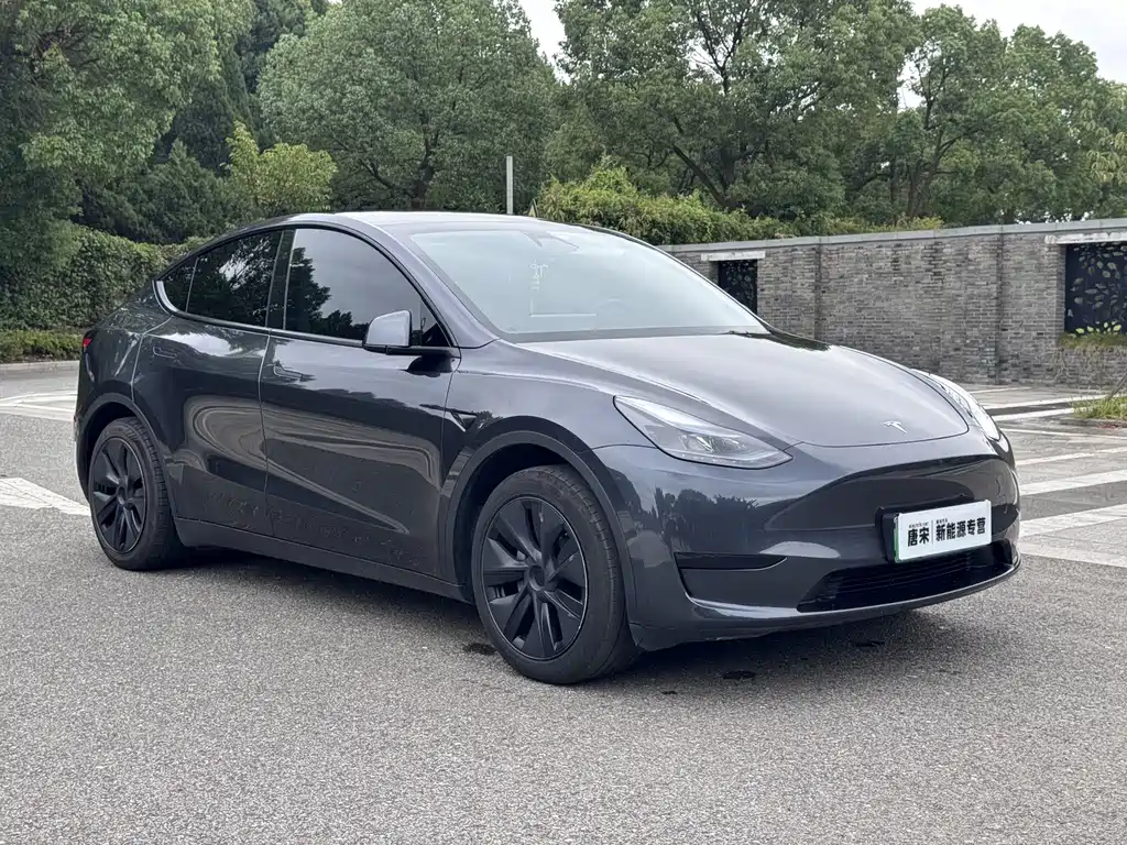 Tesla Model Y — миниатюра 3