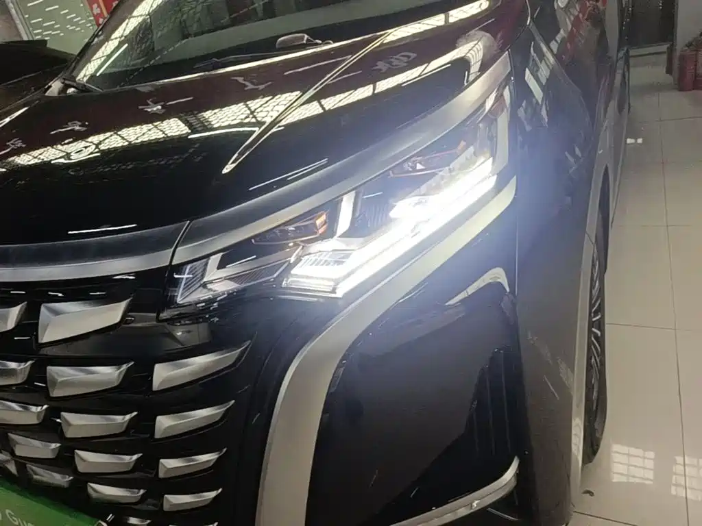 Denza Denza D9 — миниатюра 24