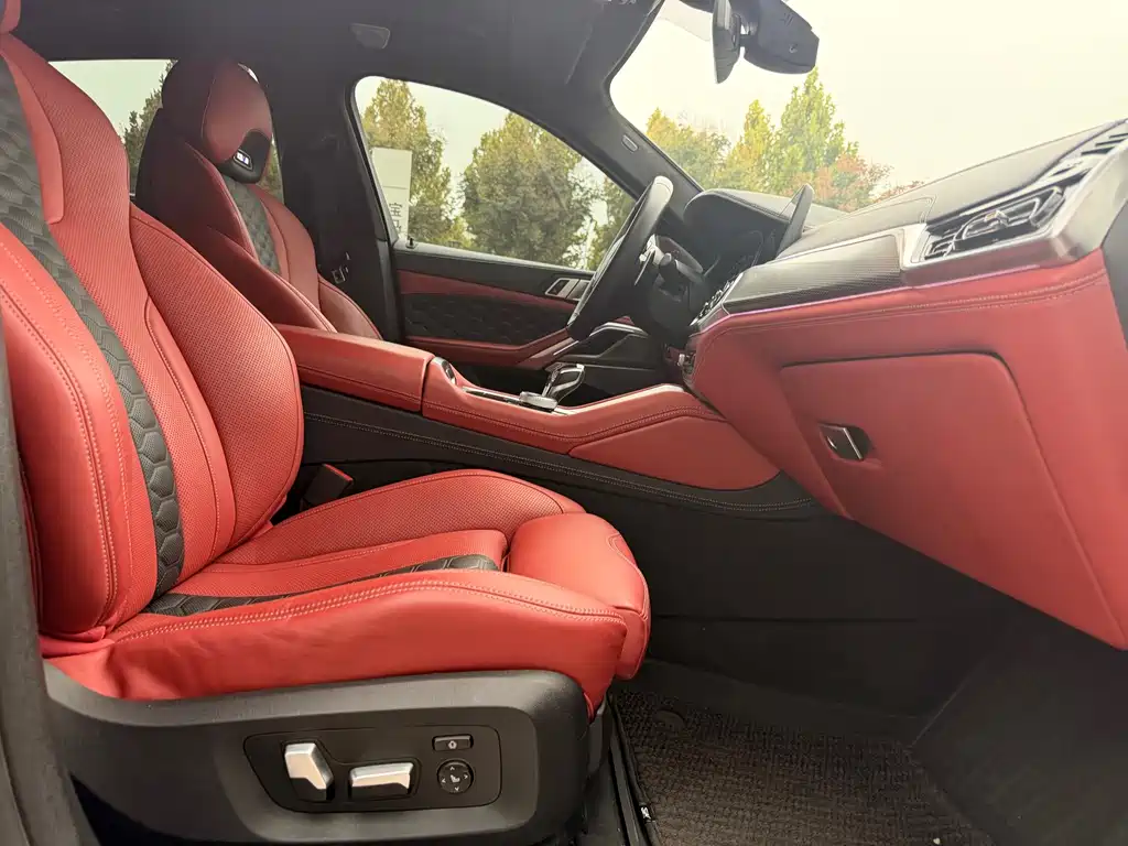 BMW X6 — миниатюра 22