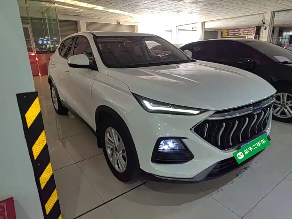 Oshan Oushang X5 — миниатюра 4