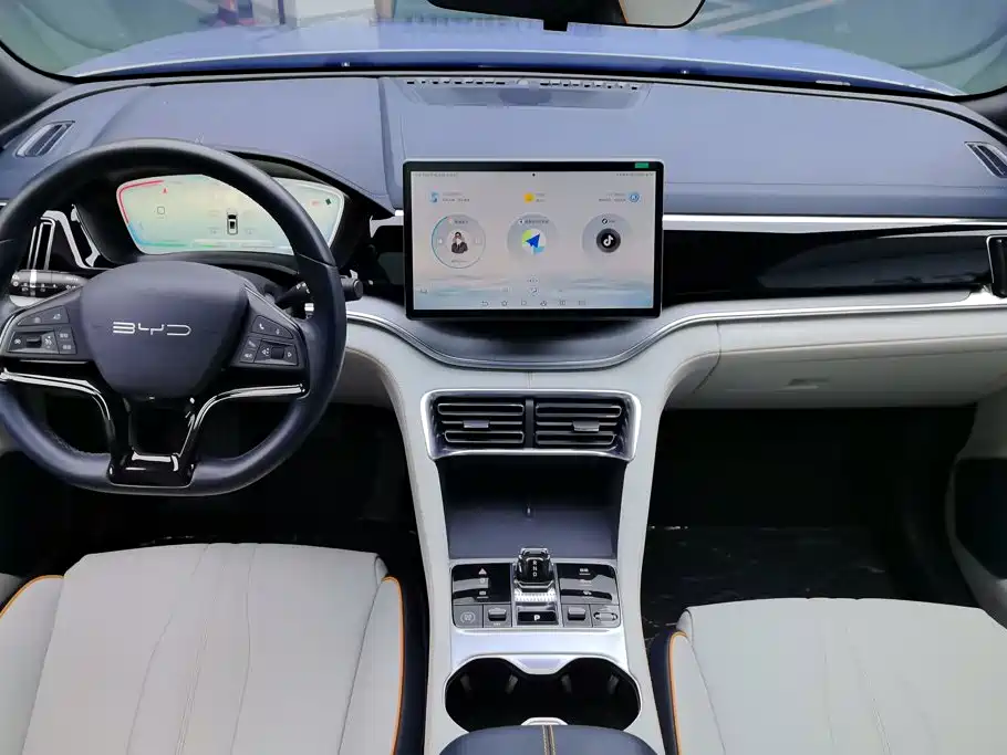 BYD PLUS New Energy — миниатюра 12