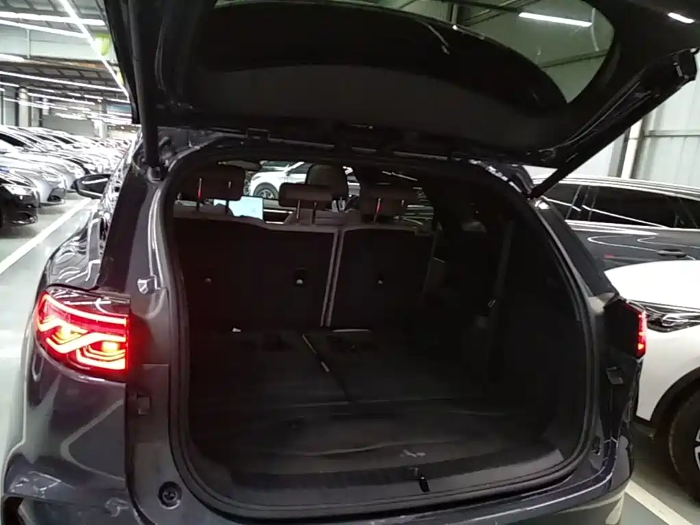 BYD Tang New Energy — миниатюра 19