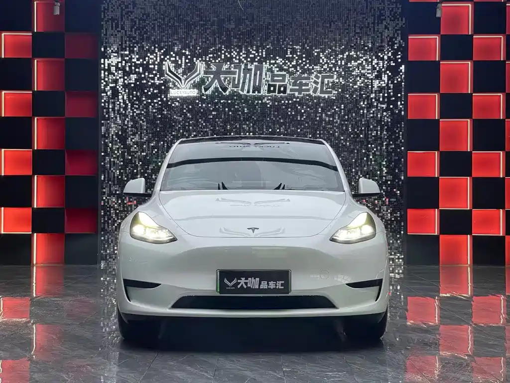 Tesla Model Y — миниатюра 2