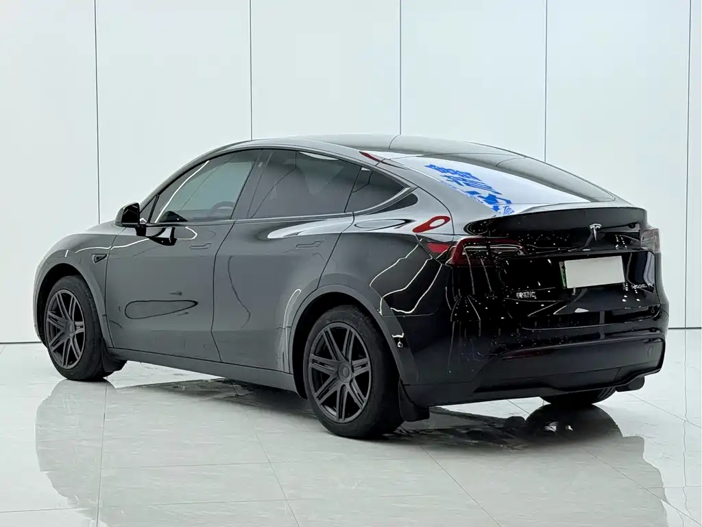 Tesla Model Y — миниатюра 13