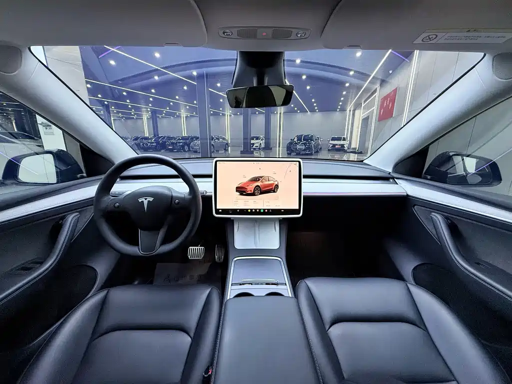 Tesla Model Y — миниатюра 12