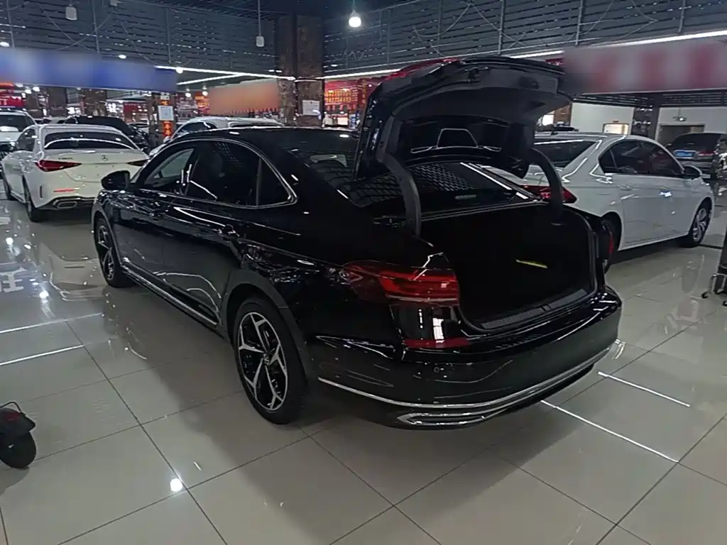 Volkswagen Passat — миниатюра 5