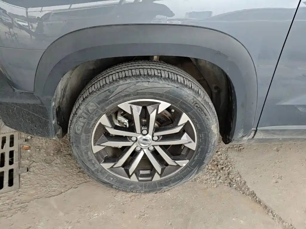 Haval Big Dog — миниатюра 23