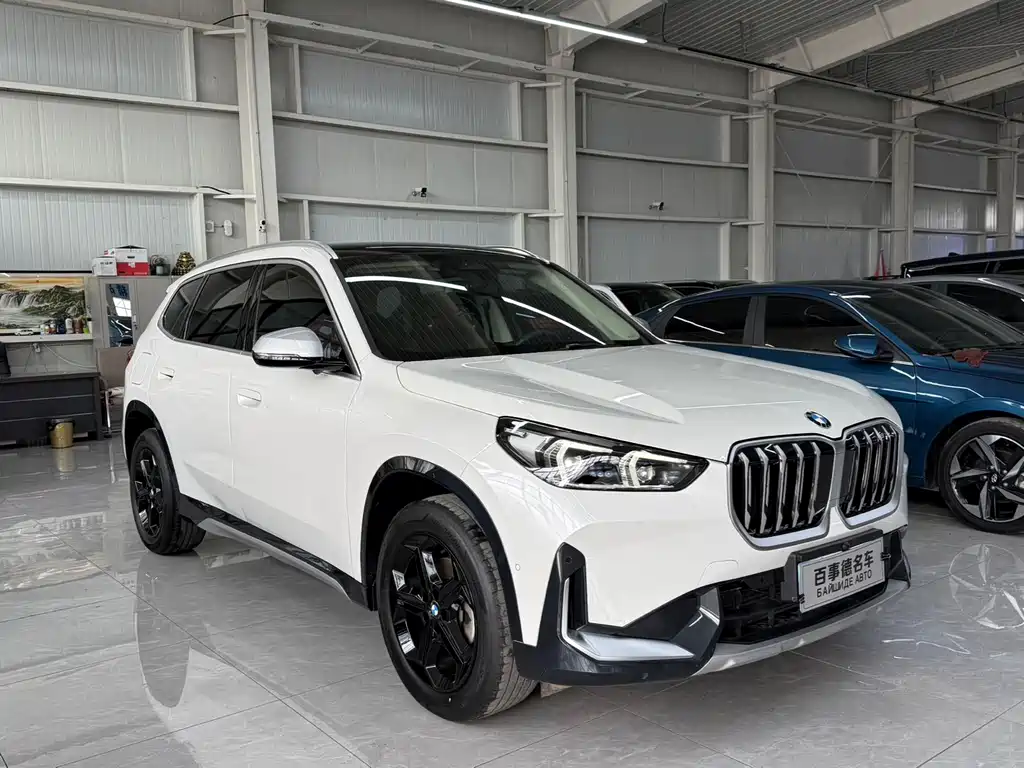 BMW X1 — миниатюра 3