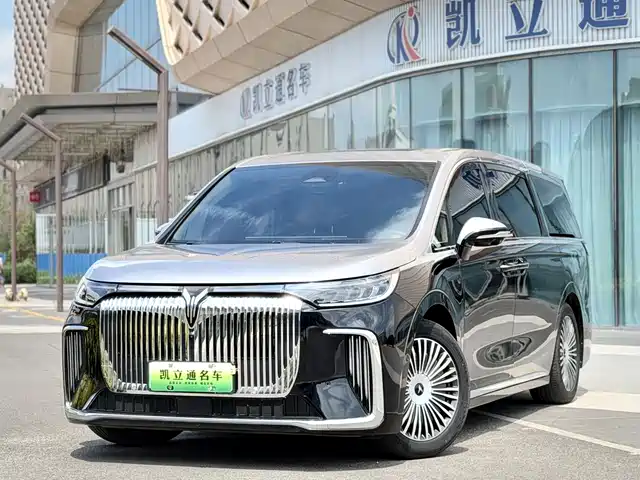2025 Voyah Dream