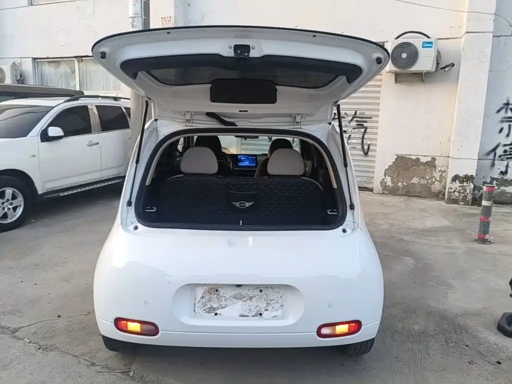 Ora Ora White Cat — миниатюра 19