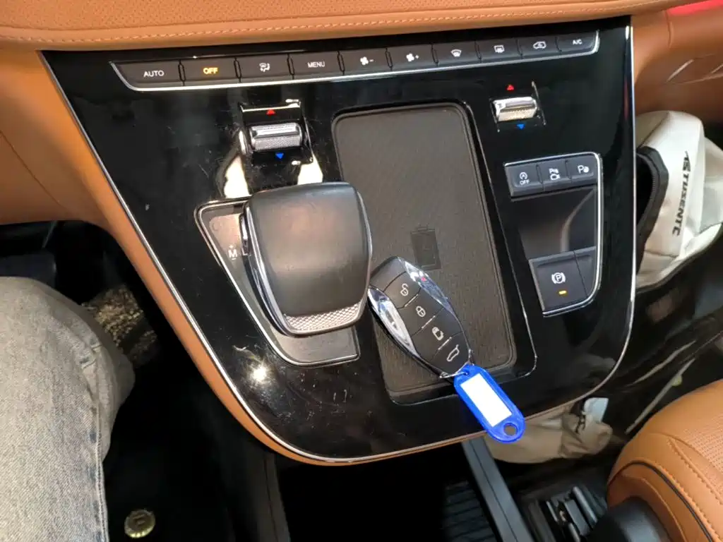 Hongqi Hongqi HQ9 — миниатюра 14