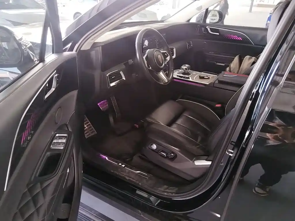 Hongqi Hongqi E-HS9 — миниатюра 16