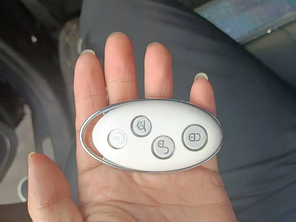 BYD Song — миниатюра 9